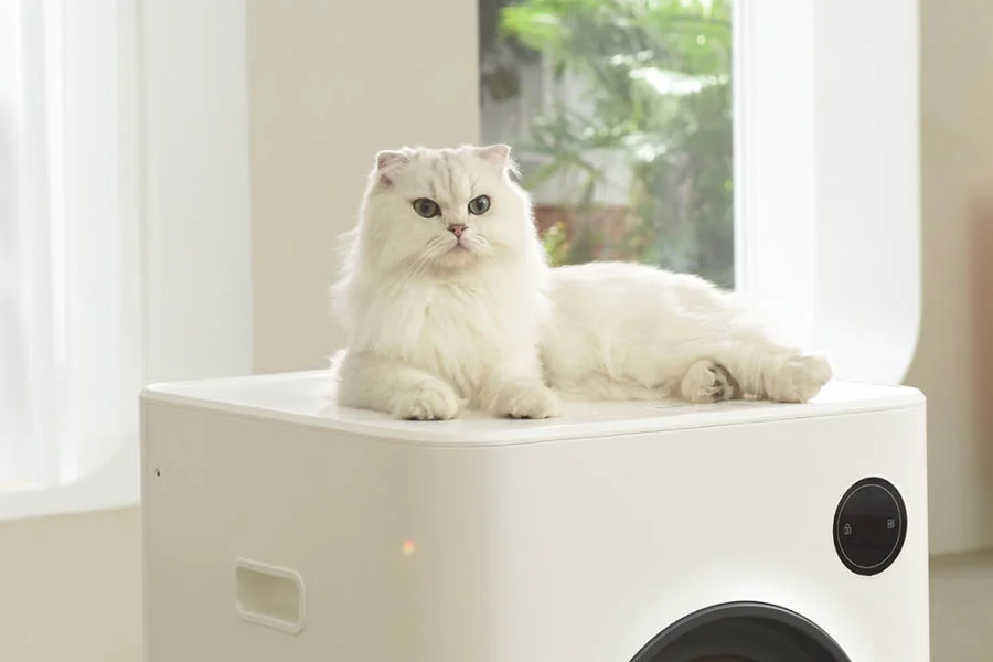 mess free cat litter box