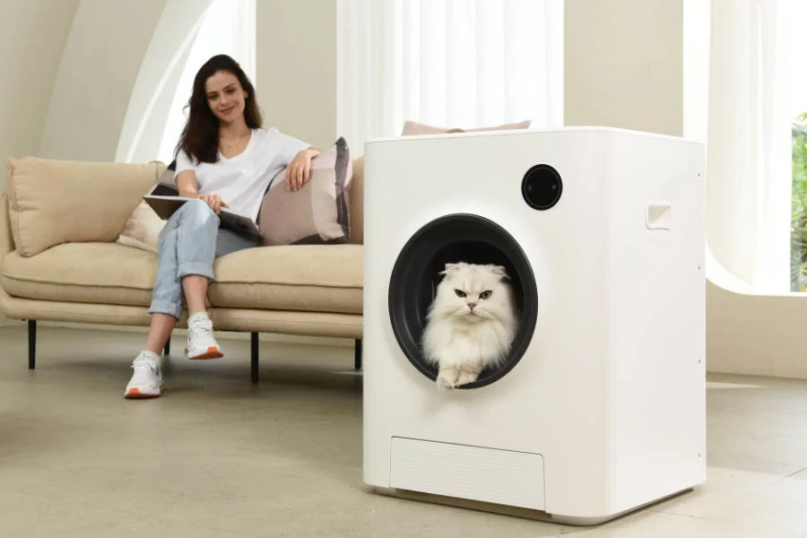 no odor litter box