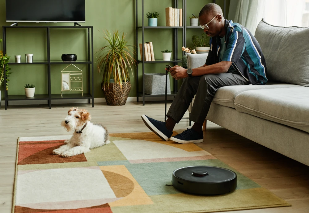 clean smart robot vacuum cleaner